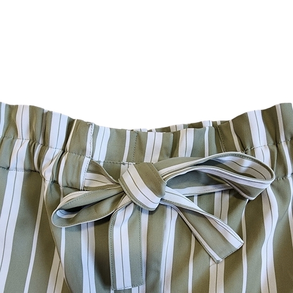 3/$15 Forever 21 Green Striped Elastic Waist Tie Shorts - Medium - Picture 2 of 8